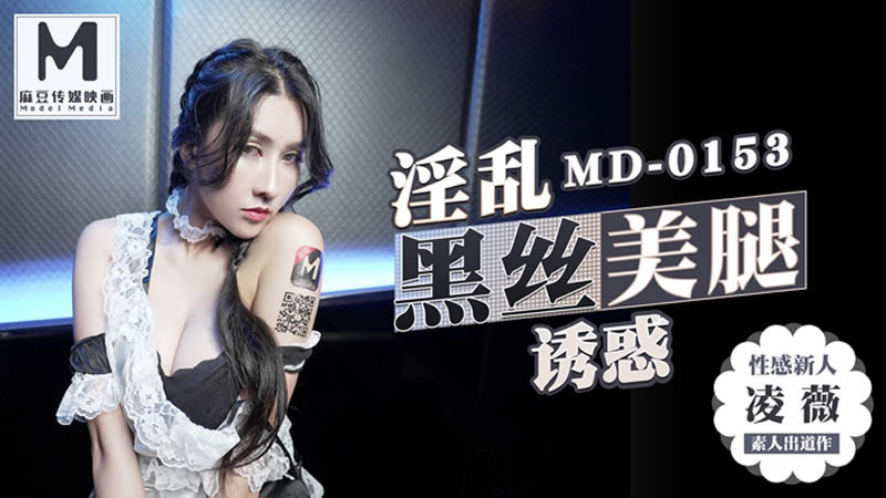 【麻豆传媒】【MD0153】【麻豆KTV的特殊性服务】【凌薇】-sha