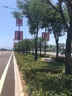 真够拼得超萌高颜值学生妹39℃高温下直接露脸脱光光在马路上跳舞-sha